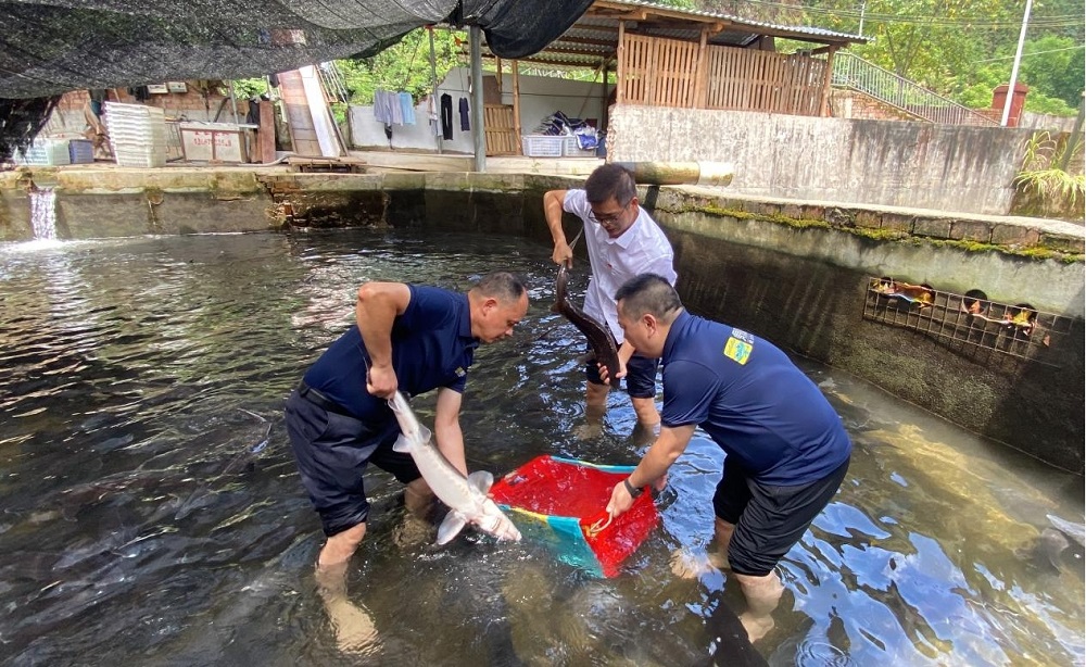 ca88手机客户端(安卓/苹果)CA88会员登录入口